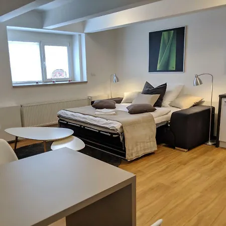 Apartment Ap 1 - 4u Brezinova 